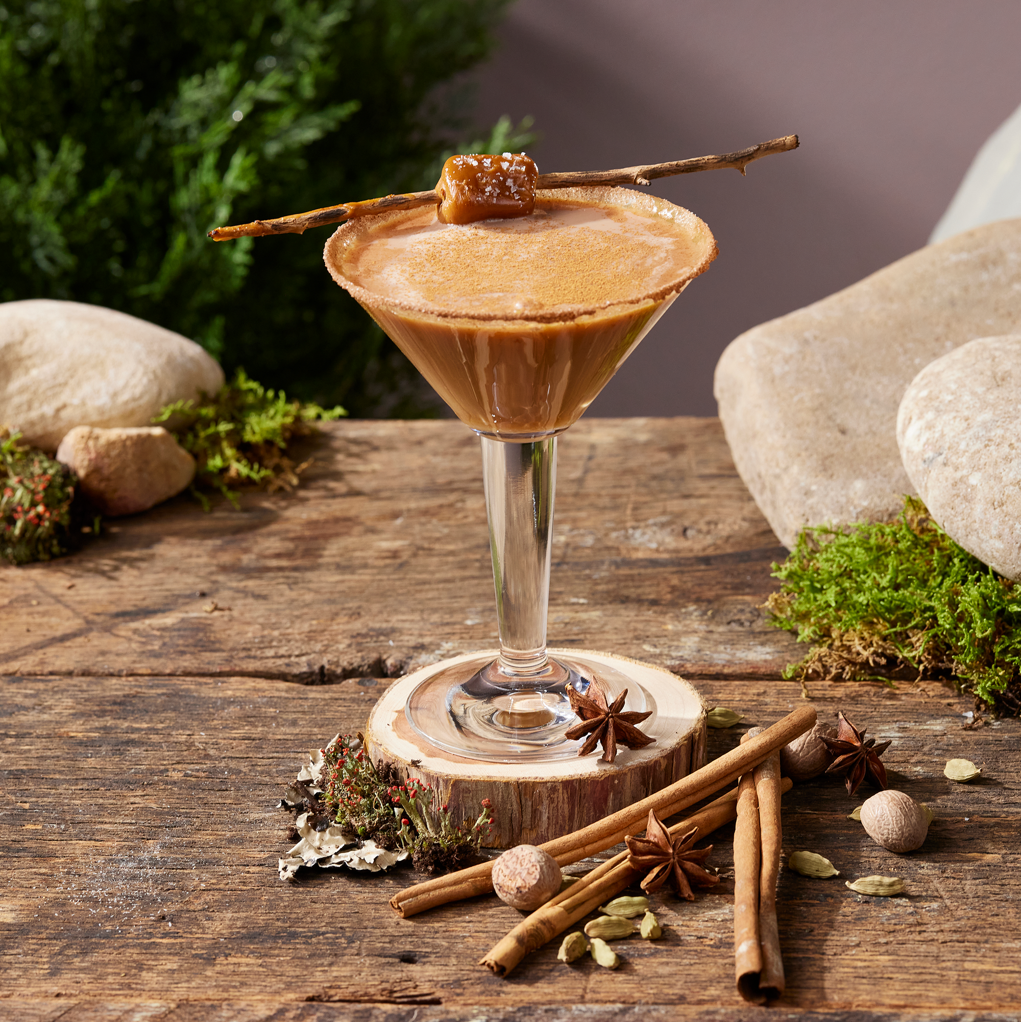 A chai and caramel martini showing chai tea ingredients including cinnamon, clove and anise in a nature background